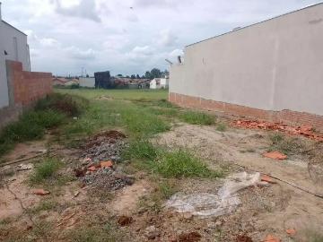 Terreno / Lote para Venda em Saltinho/SP Independência