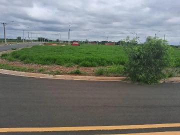 Terreno / Lote para Venda em Saltinho/SP Loteamento Bela Vida
