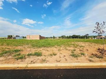 Terreno / Lote para Venda em Saltinho/SP Loteamento Bela Vida