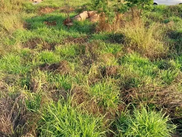 Terreno / Lote para Venda em Salto/SP Residencial Villagio do Conde