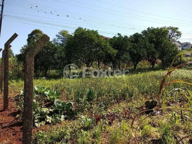 Terreno / Lote para Venda em Salvador do Sul/RS Bela Vista
