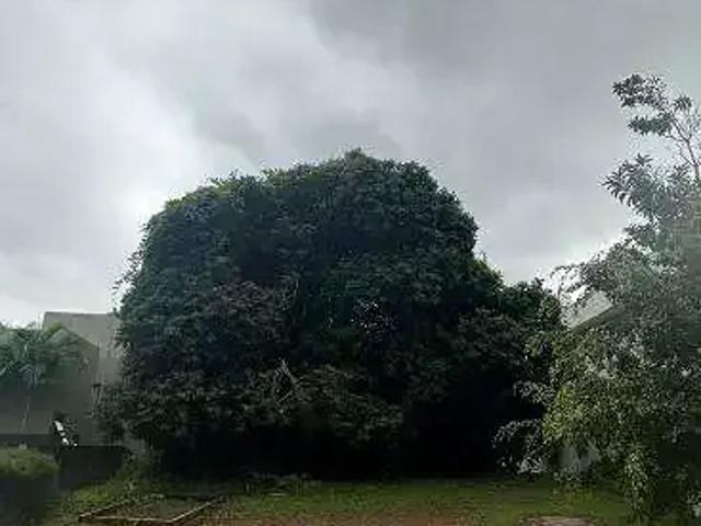 Terreno / Lote para Venda em Salvador/BA Alphaville I