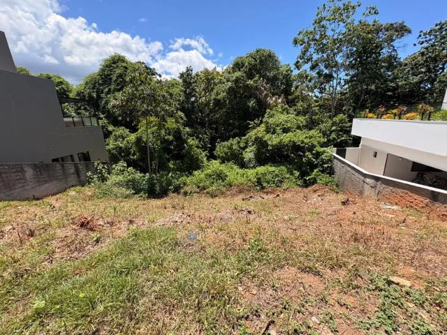 Terreno / Lote para Venda em Salvador/BA Alphaville I