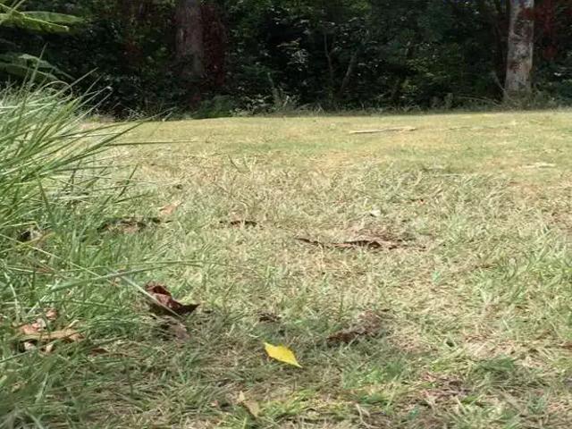 Terreno / Lote para Venda em Salvador/BA Alphaville I