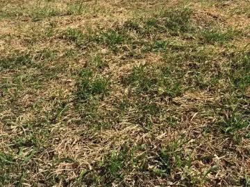 Terreno / Lote para Venda em Salvador/BA Alphaville II