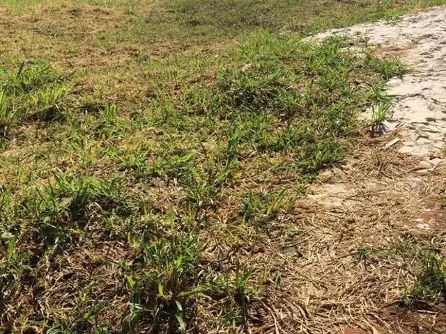 Terreno / Lote para Venda em Salvador/BA Alphaville II