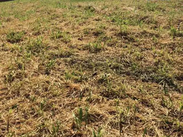 Terreno / Lote para Venda em Salvador/BA Alphaville II