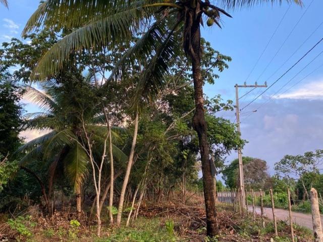 Terreno / Lote para Venda em Salvador/BA Arembepe
