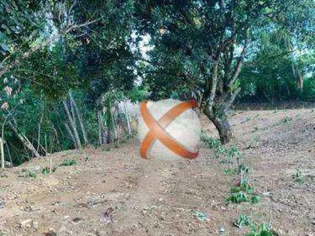 Terreno / Lote para Venda em Salvador/BA Cassange