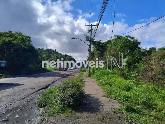 Terreno / Lote para Venda em Salvador/BA Fazenda Coutos