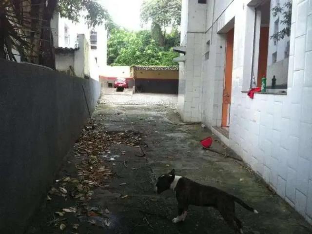 Terreno / Lote para Venda em Salvador/BA Federação