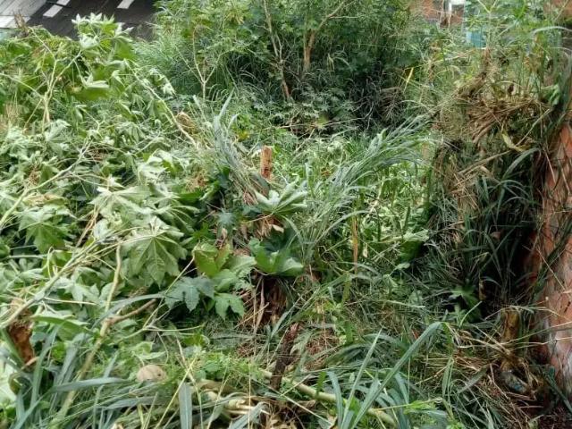 Terreno / Lote para Venda em Salvador/BA Federação