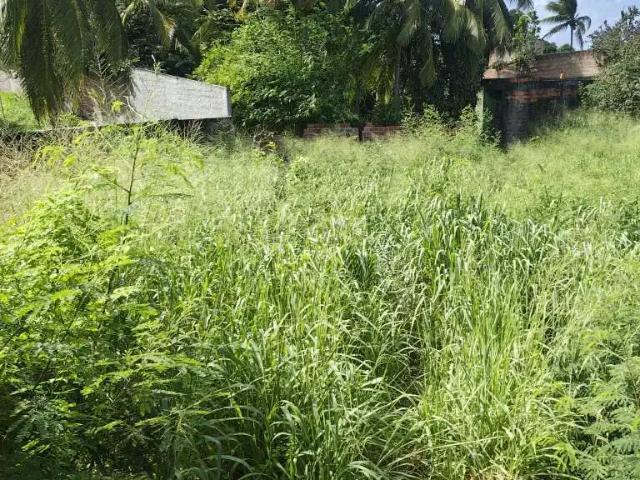 Terreno / Lote para Venda em Salvador/BA Itapuã