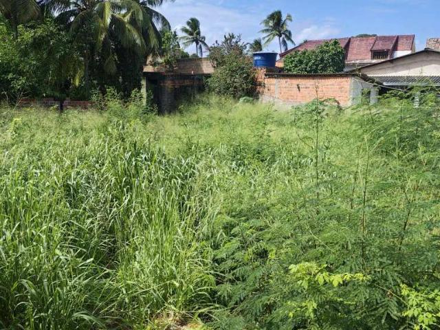 Terreno / Lote para Venda em Salvador/BA Itapuã