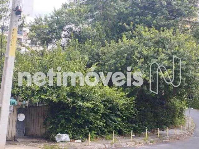 Terreno / Lote para Venda em Salvador/BA Jardim Apipema