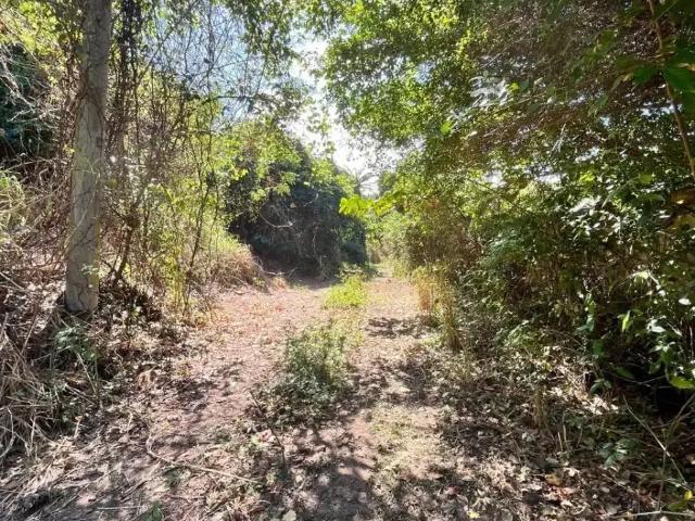 Terreno / Lote para Venda em Salvador/BA Jardim Armação