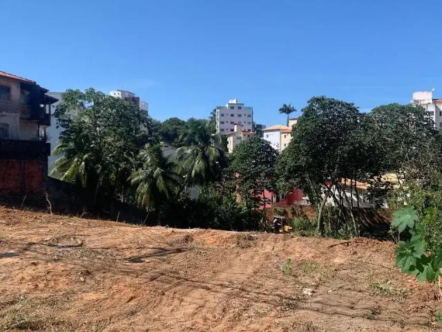 Terreno / Lote para Venda em Salvador/BA Jardim Placaford