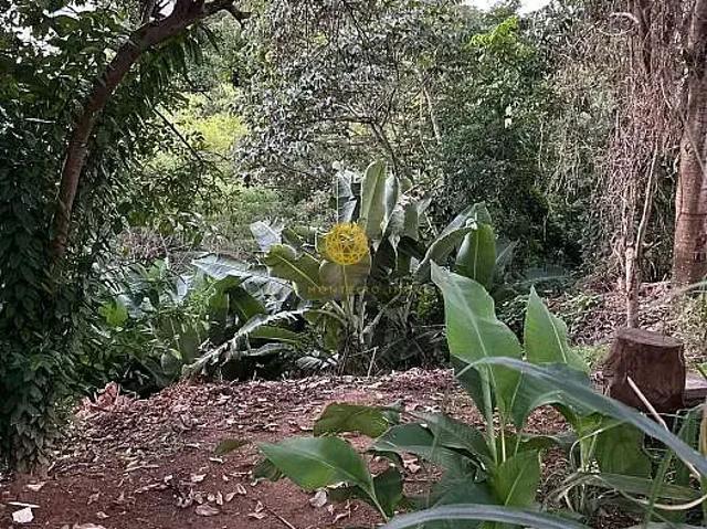 Terreno / Lote para Venda em Salvador/BA Patamares