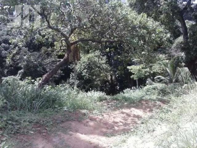 Terreno / Lote para Venda em Salvador/BA Pernambués