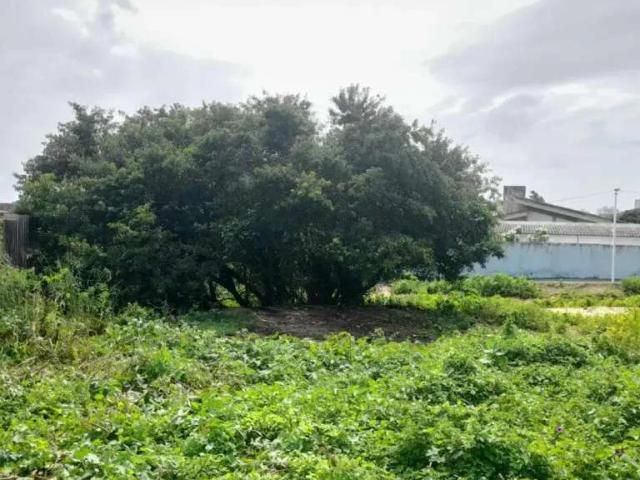 Terreno / Lote para Venda em Salvador/BA Pituaçu
