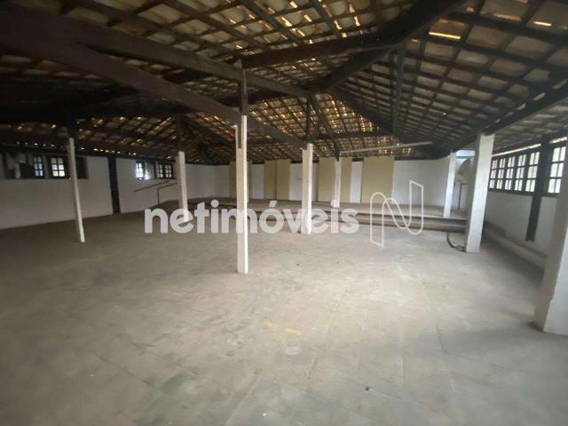 Terreno / Lote para Venda em Salvador/BA Pituaçu