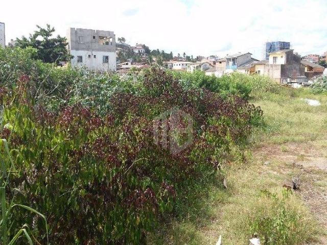 Terreno / Lote para Venda em Salvador/BA Pituaçu