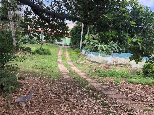 Terreno / Lote para Venda em Salvador/BA Pituaçu
