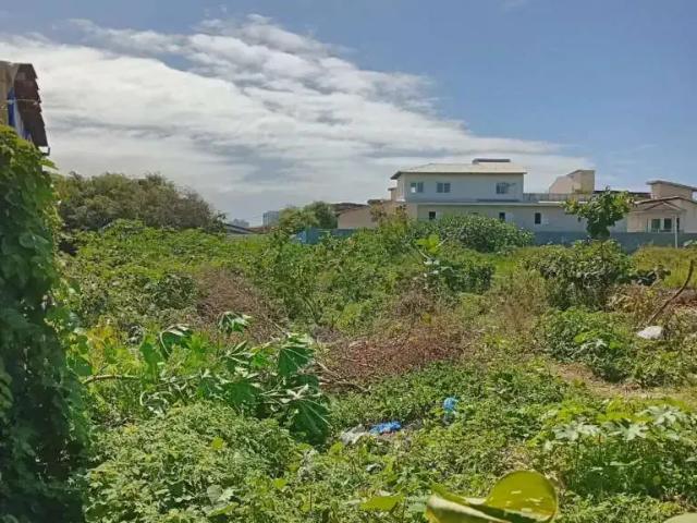 Terreno / Lote para Venda em Salvador/BA Pituaçu