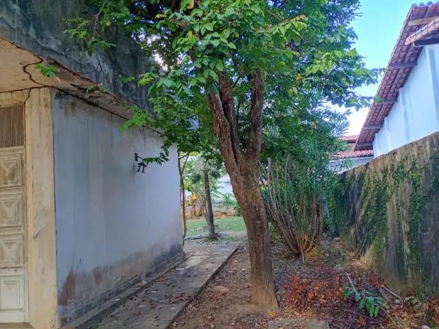 Terreno / Lote para Venda em Salvador/BA Pituba