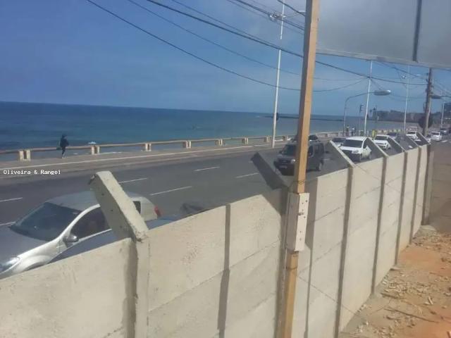 Terreno / Lote para Venda em Salvador/BA Pituba