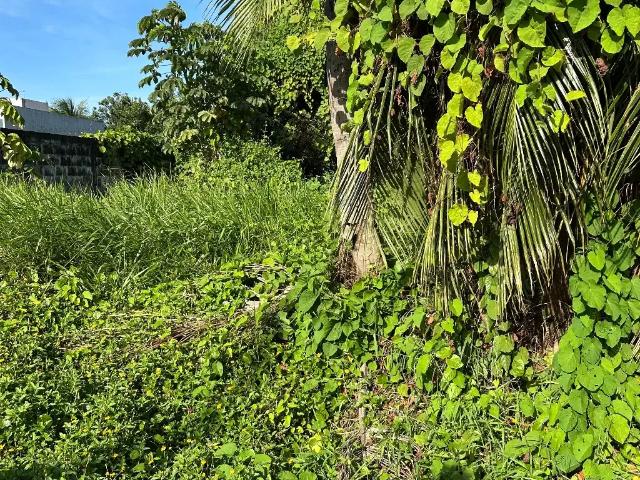 Terreno / Lote para Venda em Salvador/BA Praia do Flamengo