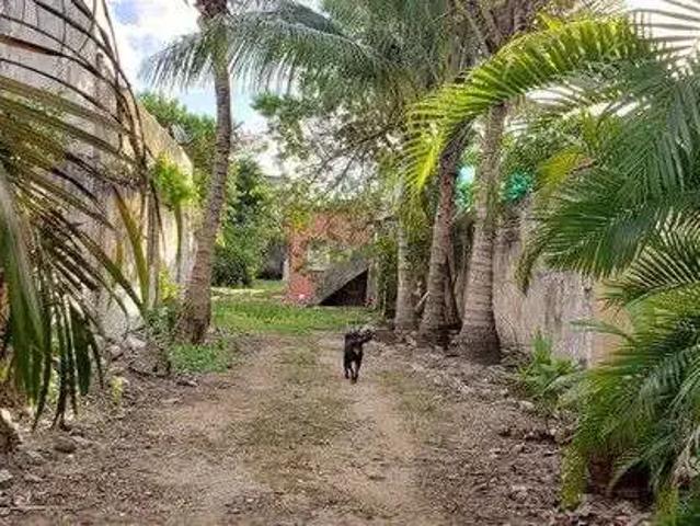 Terreno / Lote para Venda em Salvador/BA Ribeira