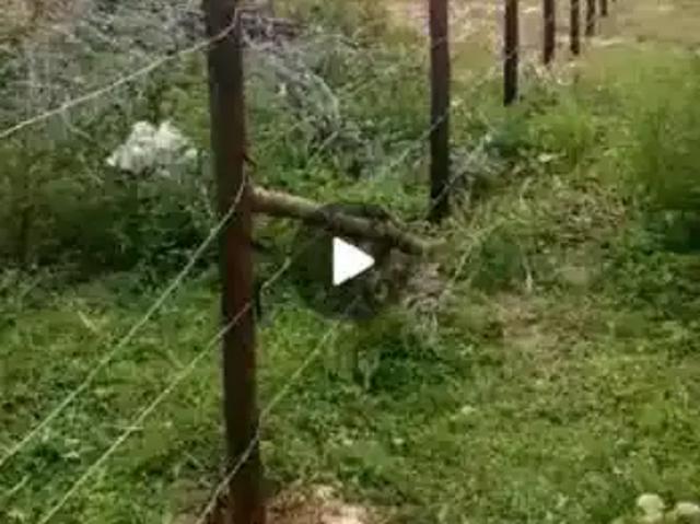 Terreno / Lote para Venda em Salvador/BA Stella Maris