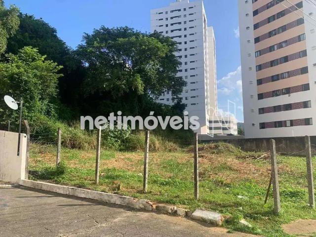 Terreno / Lote para Venda em Salvador/BA Stiep