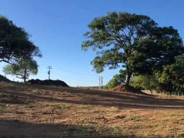 Terreno / Lote para Venda em Salvador/BA São Cristóvão