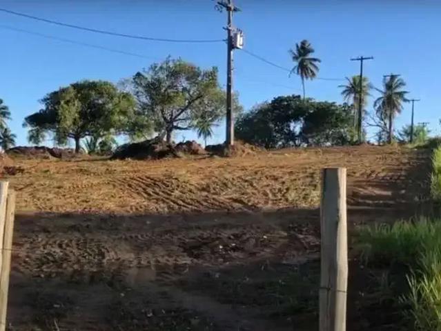Terreno / Lote para Venda em Salvador/BA São Cristóvão