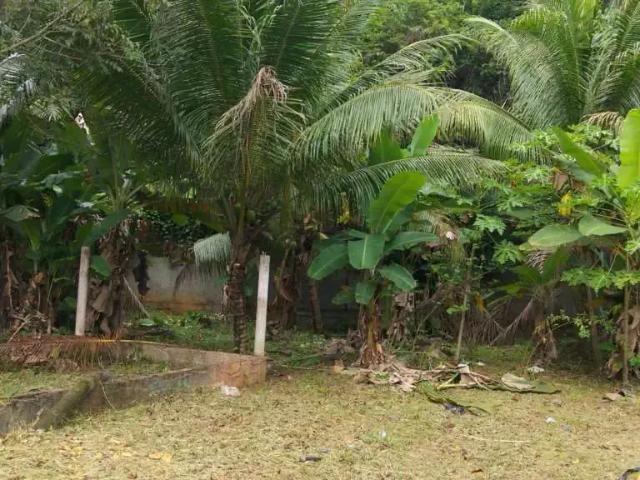 Terreno / Lote para Venda em Salvador/BA São Cristóvão
