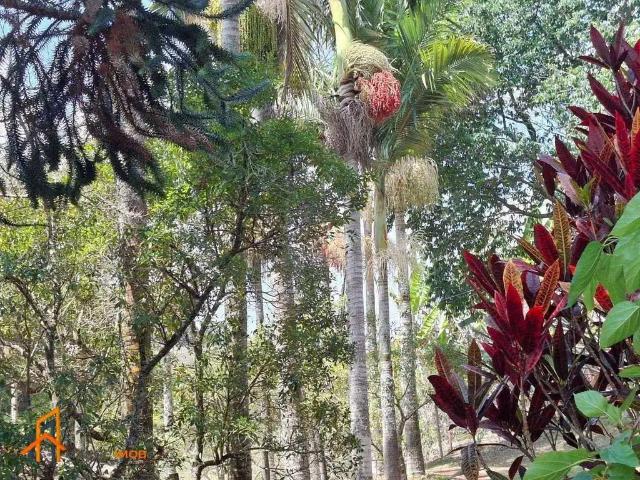 Terreno / Lote para Venda em Salesópolis/SP Remédios