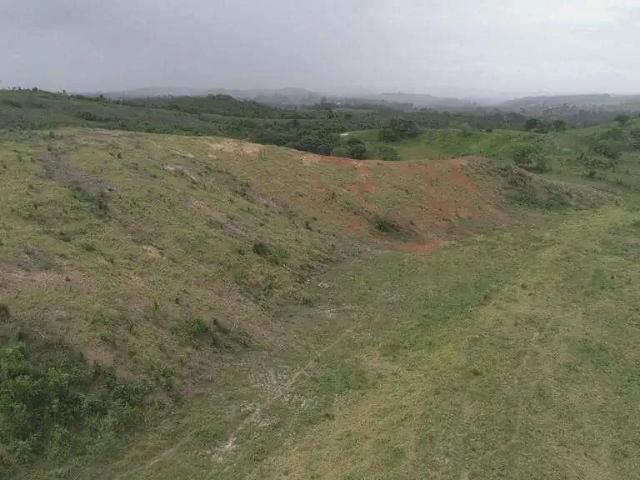 Terreno / Lote para Venda em Salgado/SE Centro