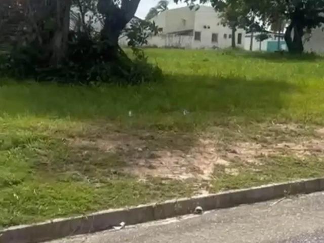 Terreno / Lote para Venda em Salinópolis/PA Atalaia