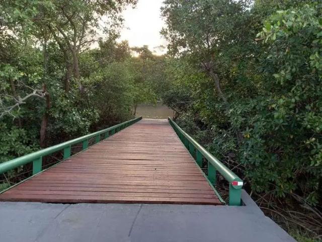 Terreno / Lote para Venda em Salinópolis/PA Centro