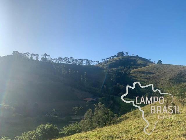 Terreno / Lote para Venda em Sapucaí Mirim/MG Centro