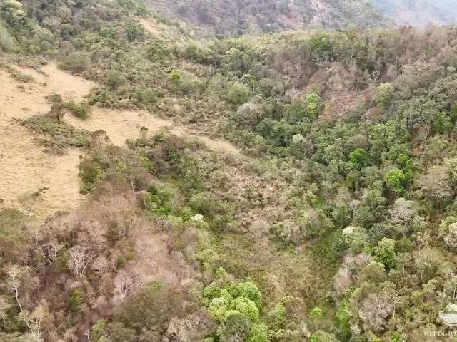 Terreno / Lote para Venda em Sapucaí Mirim/MG Centro