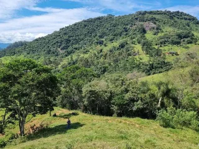 Terreno / Lote para Venda em Sapucaí Mirim/MG Centro