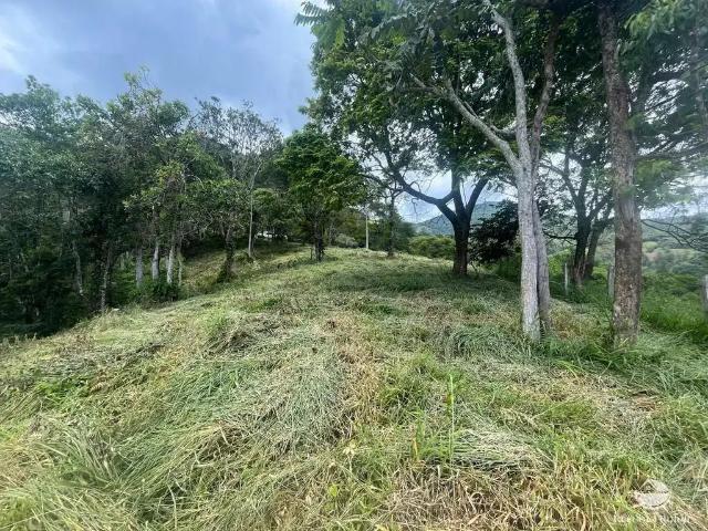 Terreno / Lote para Venda em Sapucaí Mirim/MG Centro