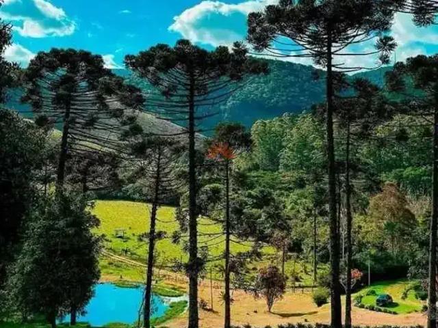 Terreno / Lote para Venda em Sapucaí Mirim/MG Centro