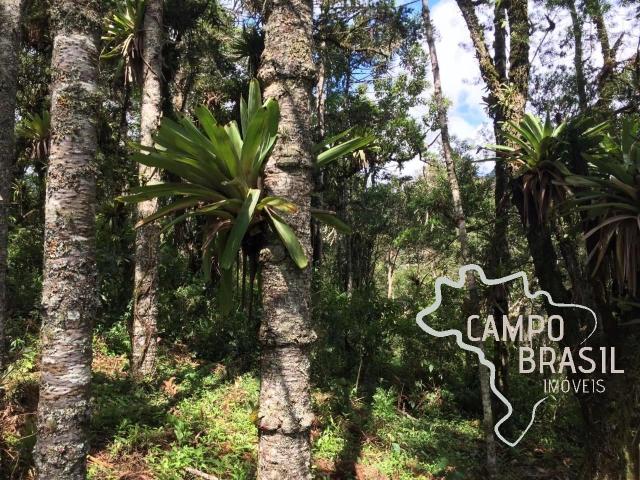 Terreno / Lote para Venda em Sapucaí Mirim/MG Centro