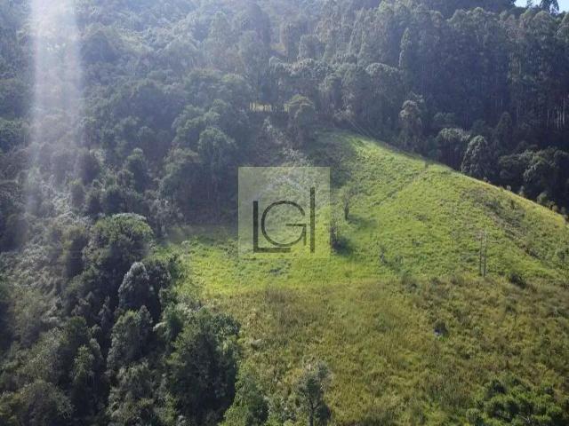 Terreno / Lote para Venda em Sapucaí Mirim/MG Centro