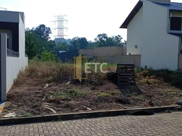 Terreno / Lote para Venda em Sapucaia do Sul/RS Vargas