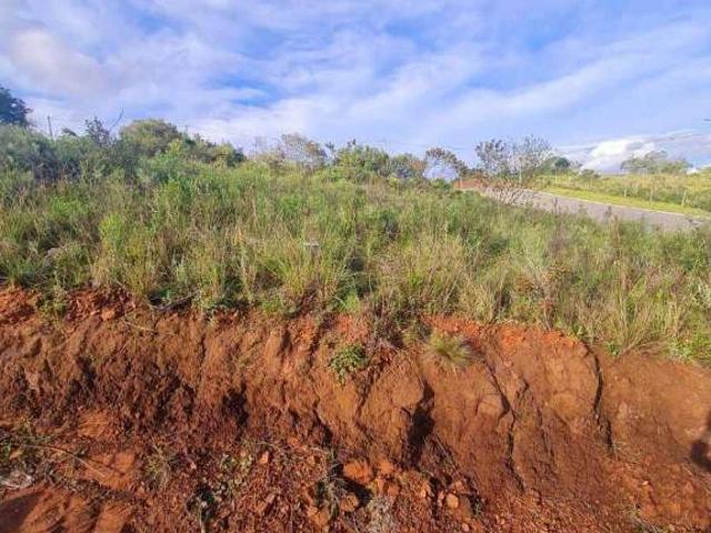Terreno / Lote para Venda em Sapucaia do Sul/RS Vargas